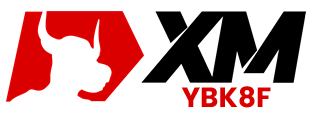 XM Logo 312x114