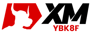 XM Logo 312x114